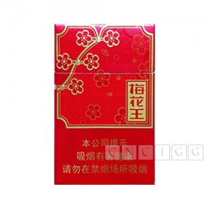 Plum Blossom Cheongsam Red